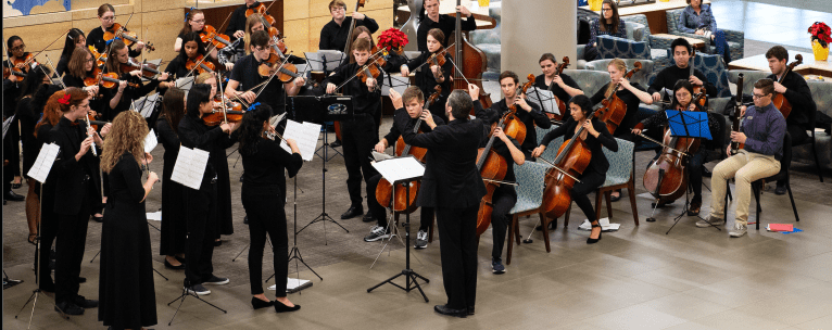 Screen Shot 2019-12-07 at 1.29.11 PM